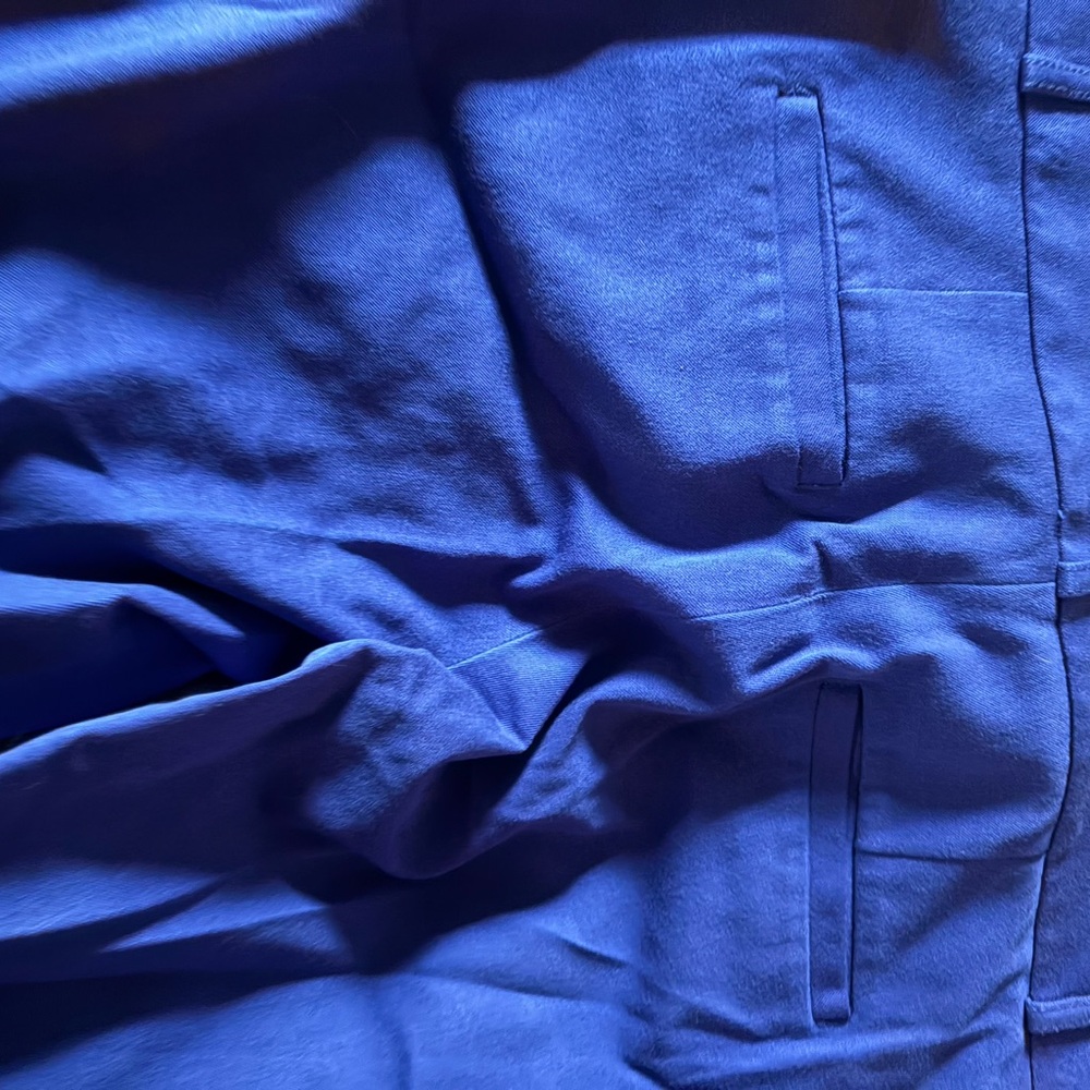 Banana Republic Royal Blue pants size 4 - Picture 3 of 4
